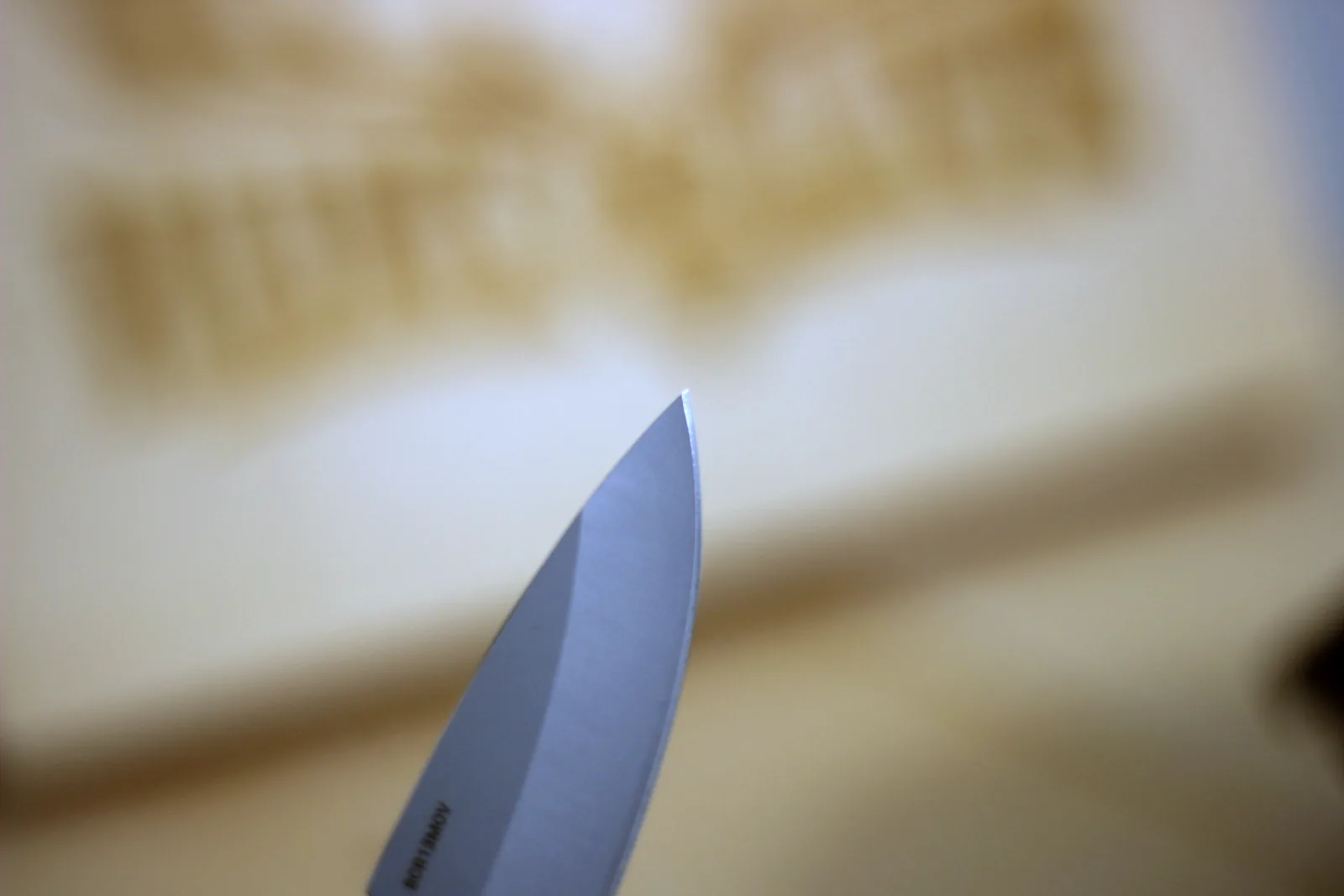 Close-up of the fine drop-point tip of the knife blade