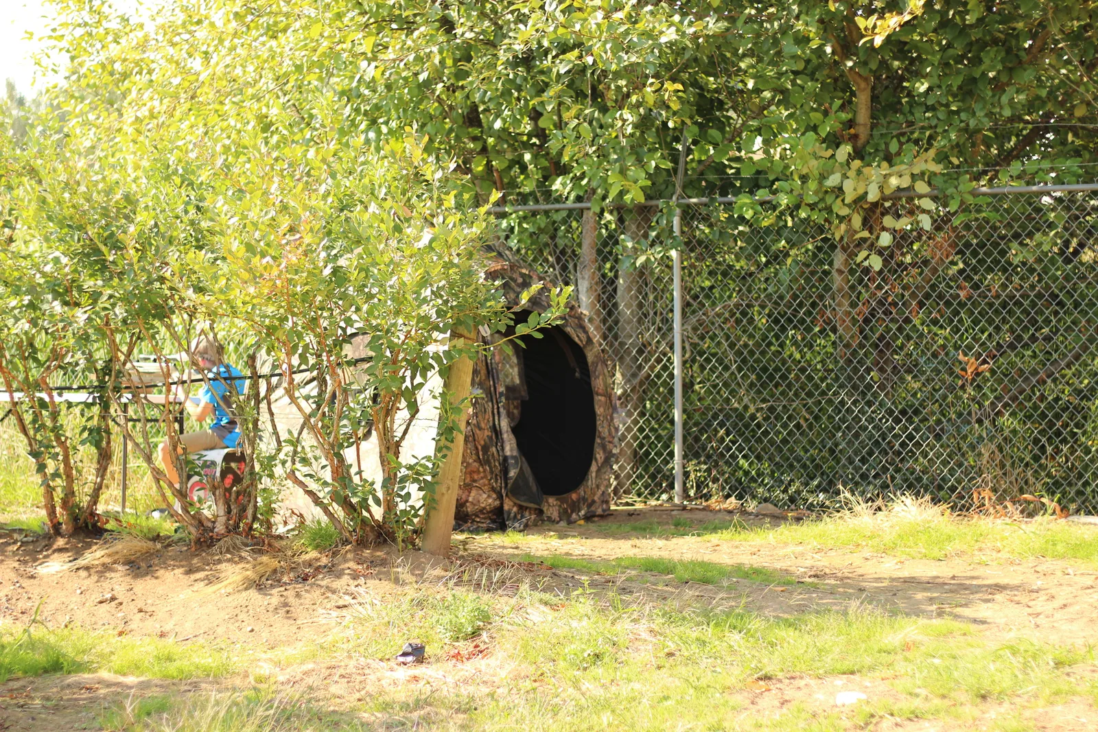 The blind seen from a distance down the grass lane, small against the hedge and fence