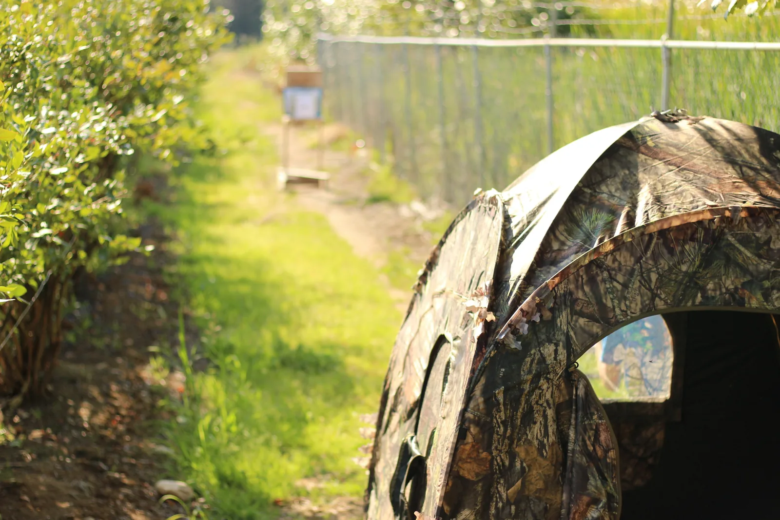The hub roof of the pitched blind from outside showing the panelled camo canopy against sky