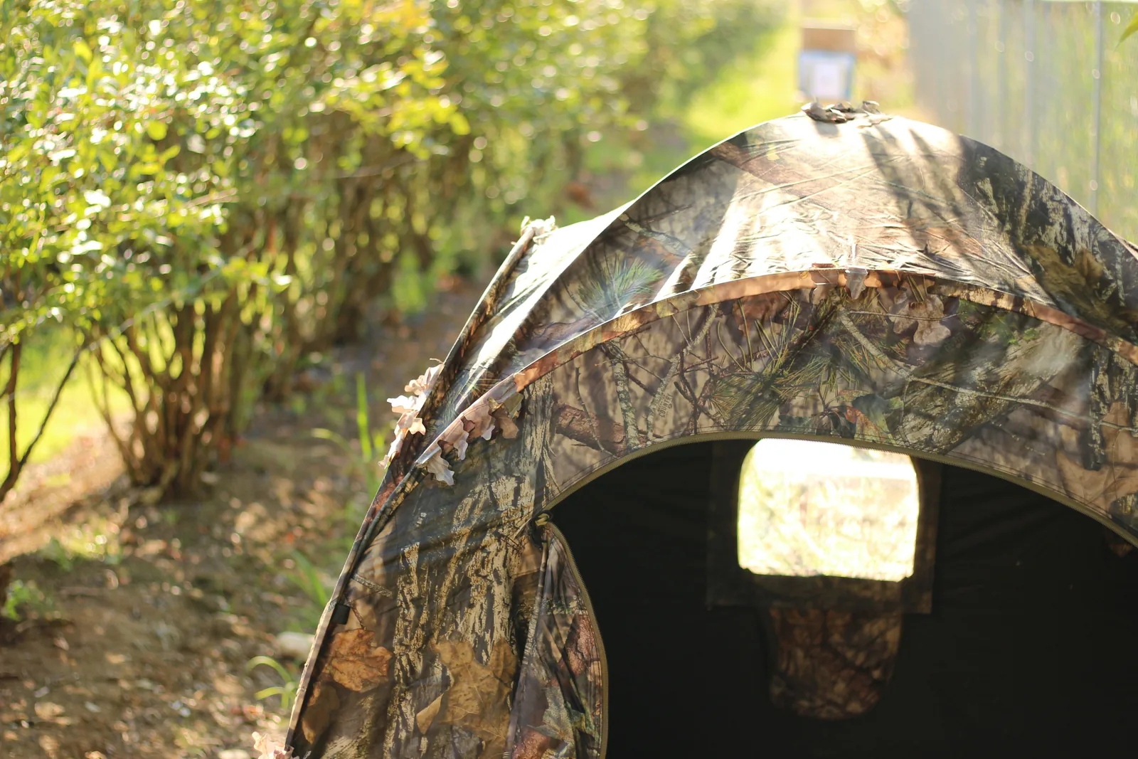 One of the blind's windows open from outside, the flap rolled back and toggled