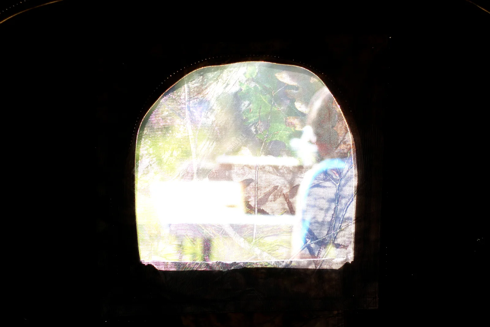 The view out of a shooting port from deep inside the dark blind, showing the sunlit ground and a figure beyond