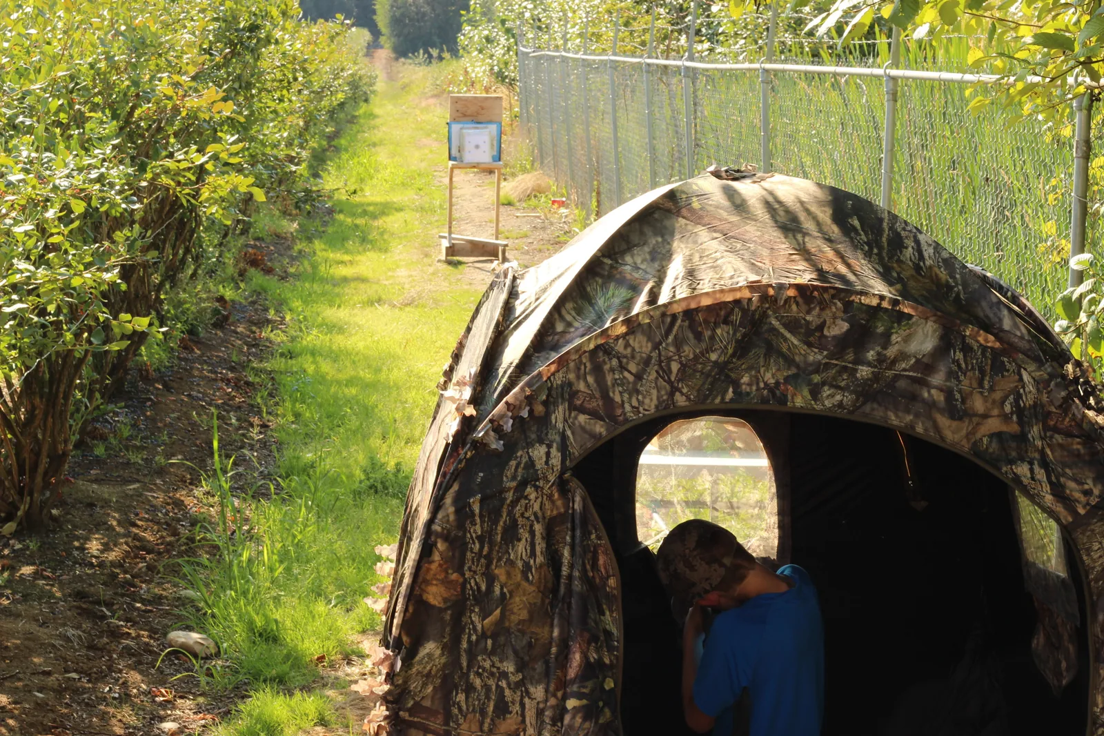 Wide view down the grass lane with the pitched blind on the left and a paper target set up at the far end