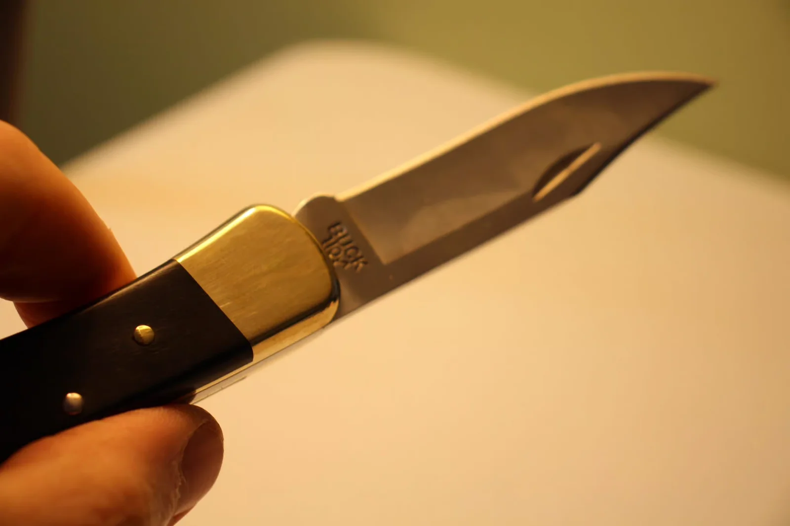 Buck 110 open in hand — full clip-point blade with brass bolster visible