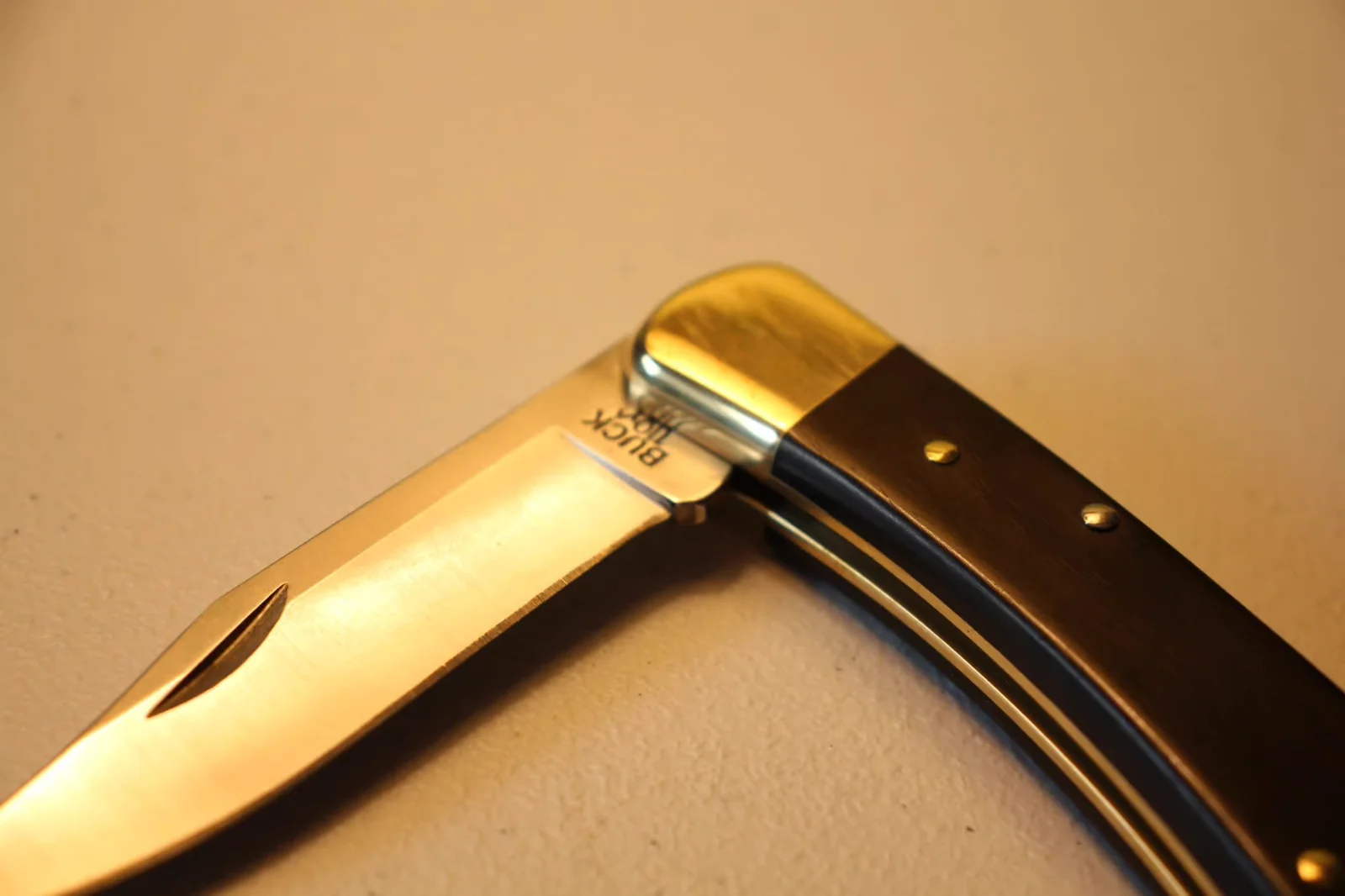 Detail of closed Buck 110 showing the polished brass bolster and steel pivot pin