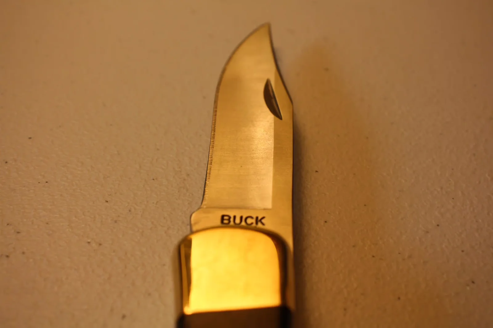 Blade tip close-up showing 'BUCK' stamp on the polished face