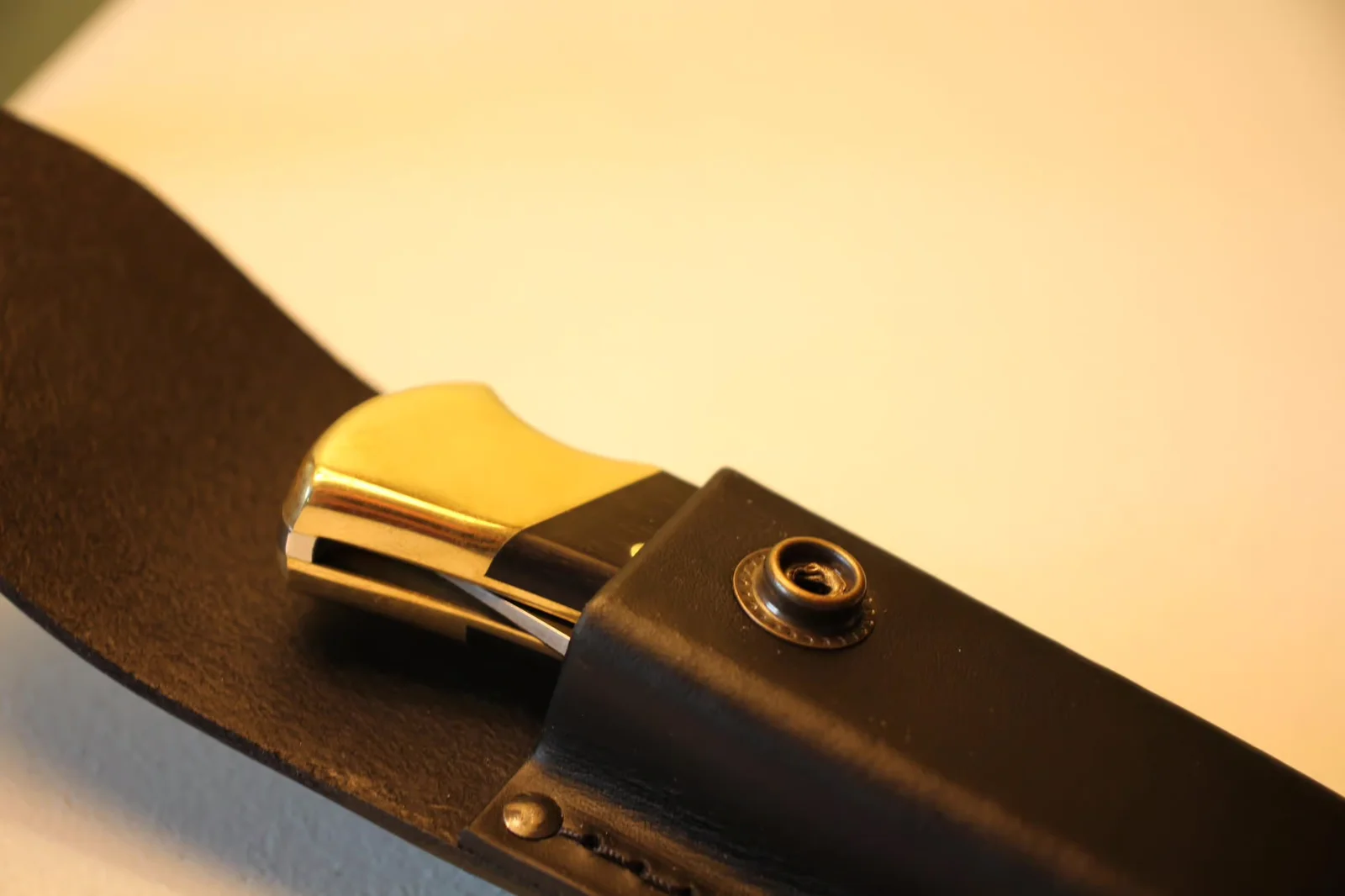 Buck 110 closed inside black leather sheath with brass crown protruding from the top