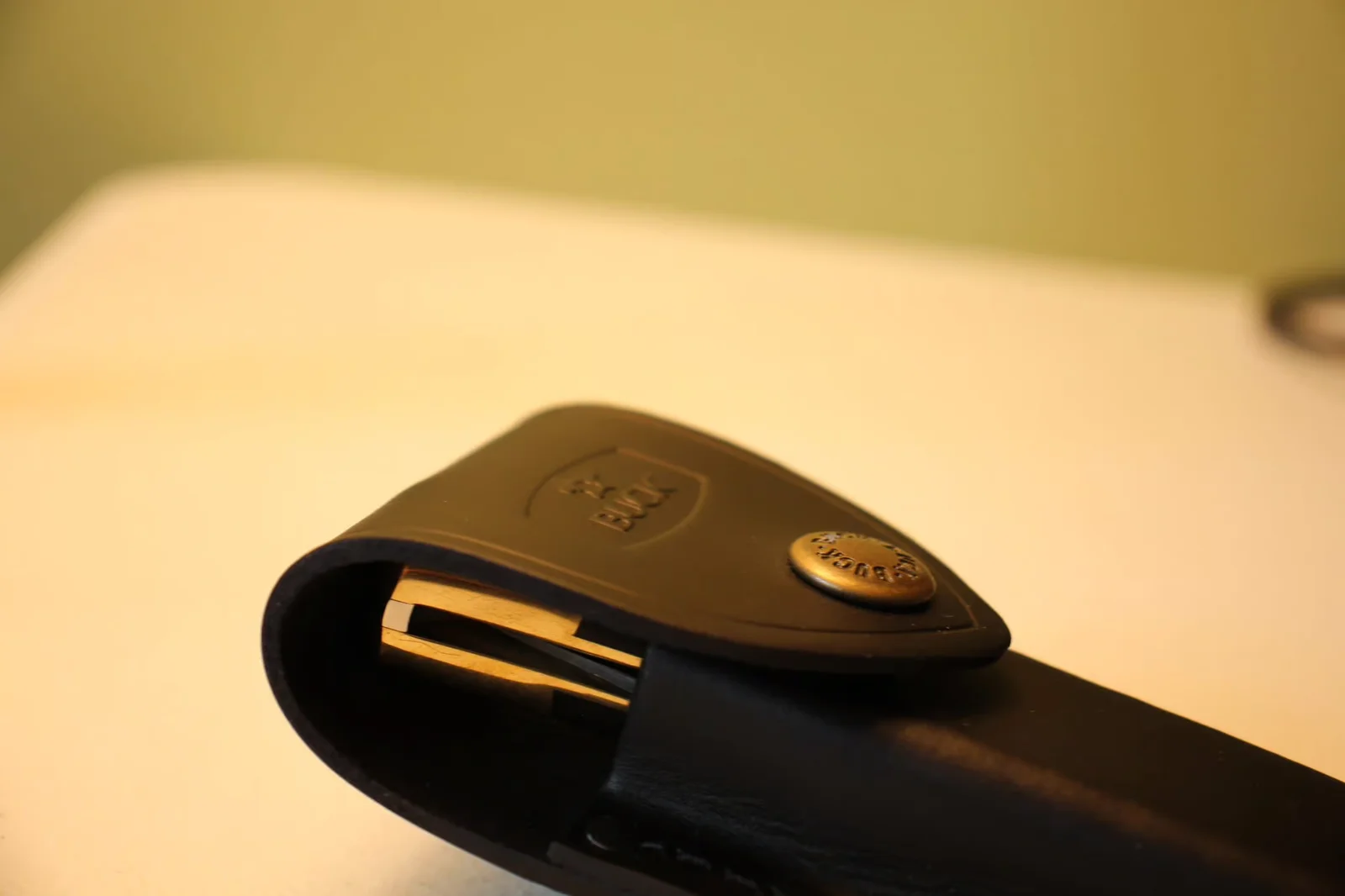 Top of sheath showing embossed BUCK shield logo and brass-edge snap closure