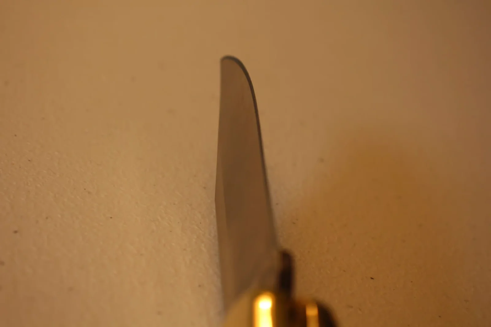 Soft-focus tip detail of the Buck 110 blade against a warm wall