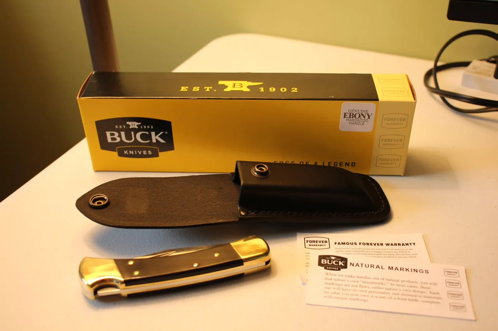 Buck 110 Folding Hunter Review — The Knife That Made the Lockback Famous