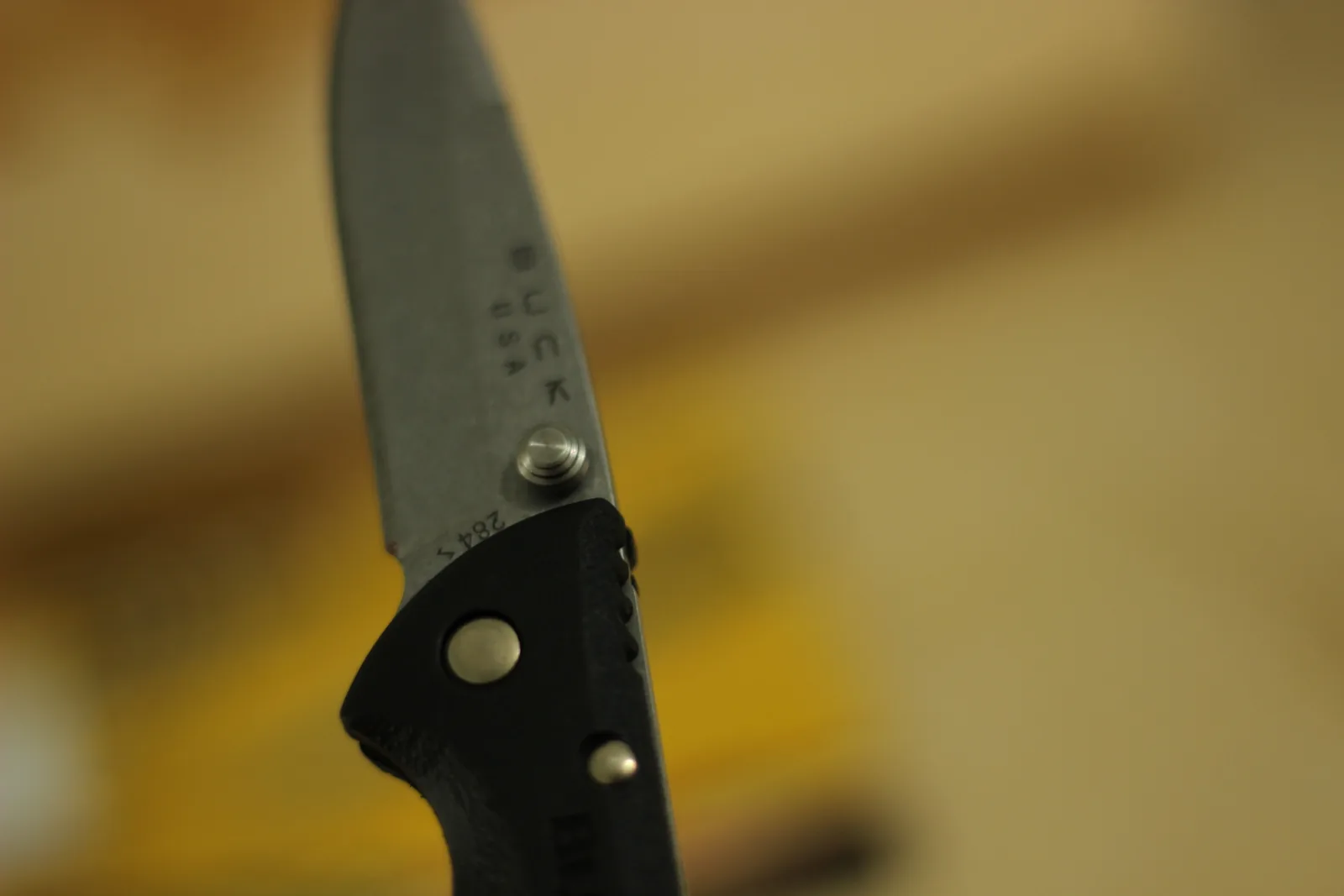Tight close-up of the thumb stud, the BUCK USA stamp and the 284 marking near the pivot
