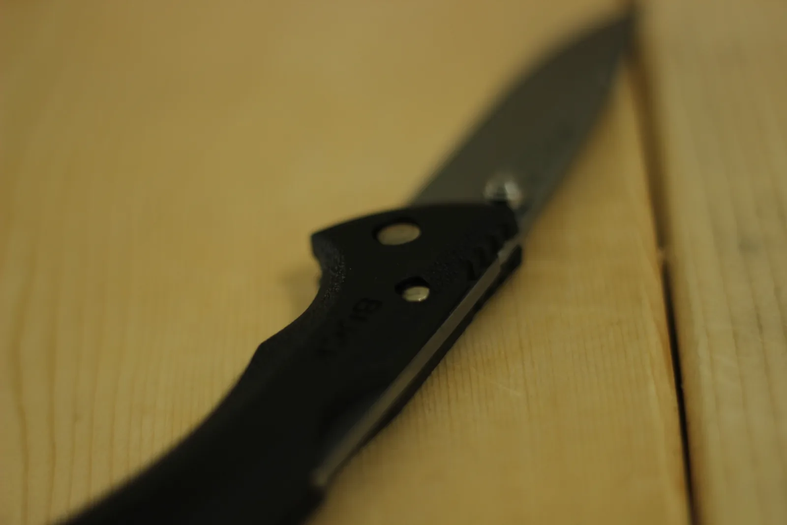 View looking down the spine of the open blade from the handle end, showing the blade running straight away from the pivot