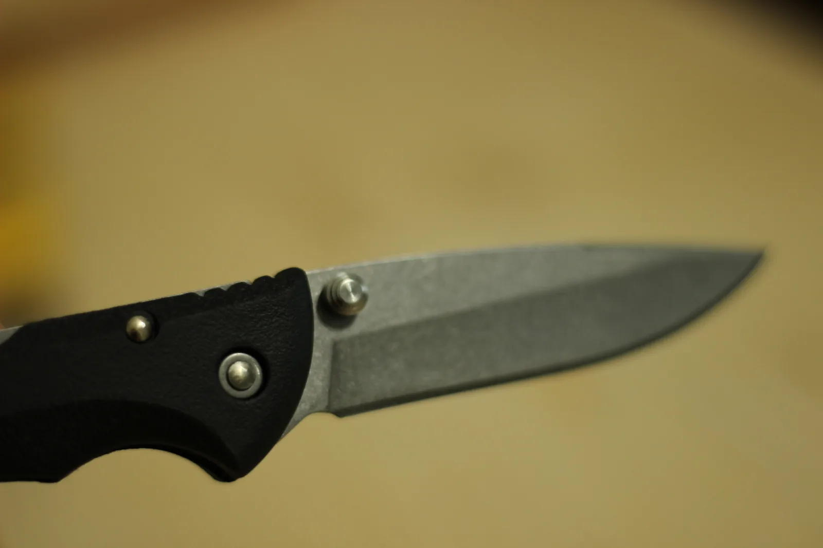 Side view of the open blade with the row of cut ridges on the spine above the handle visible