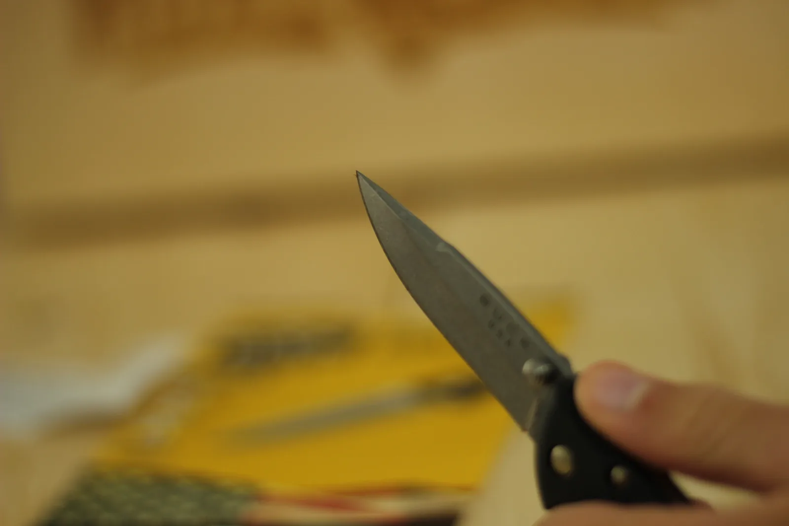 The blade tip held up against a blurred background of the packaging and the wooden bench