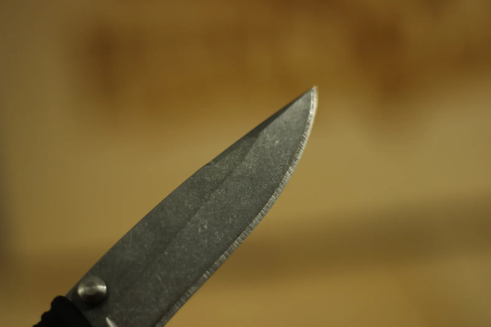 Macro photograph of the drop-point tip showing the ground bevel running to the point and the mottled grey finish across the flat