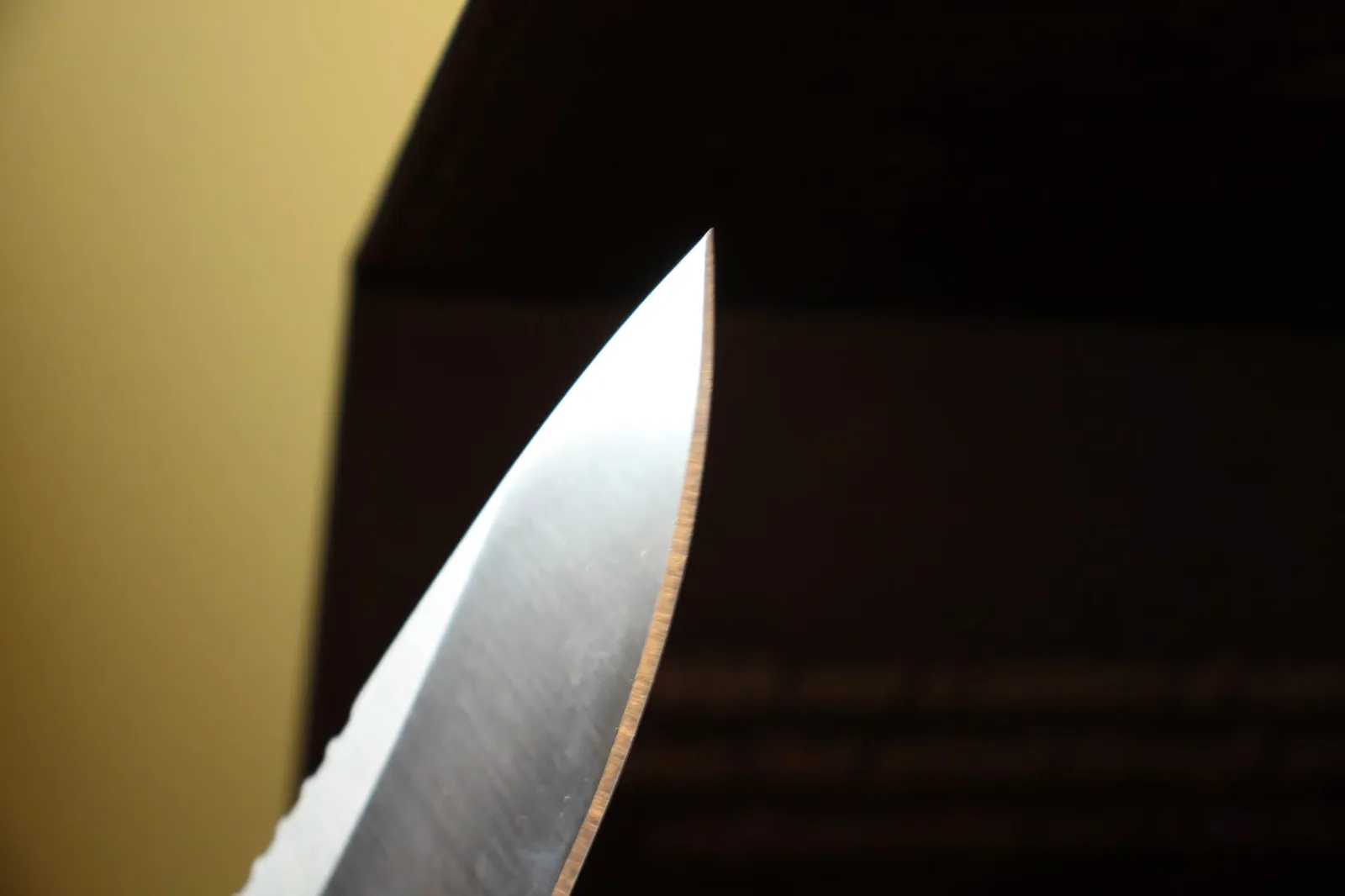 Close-up of the blade tip