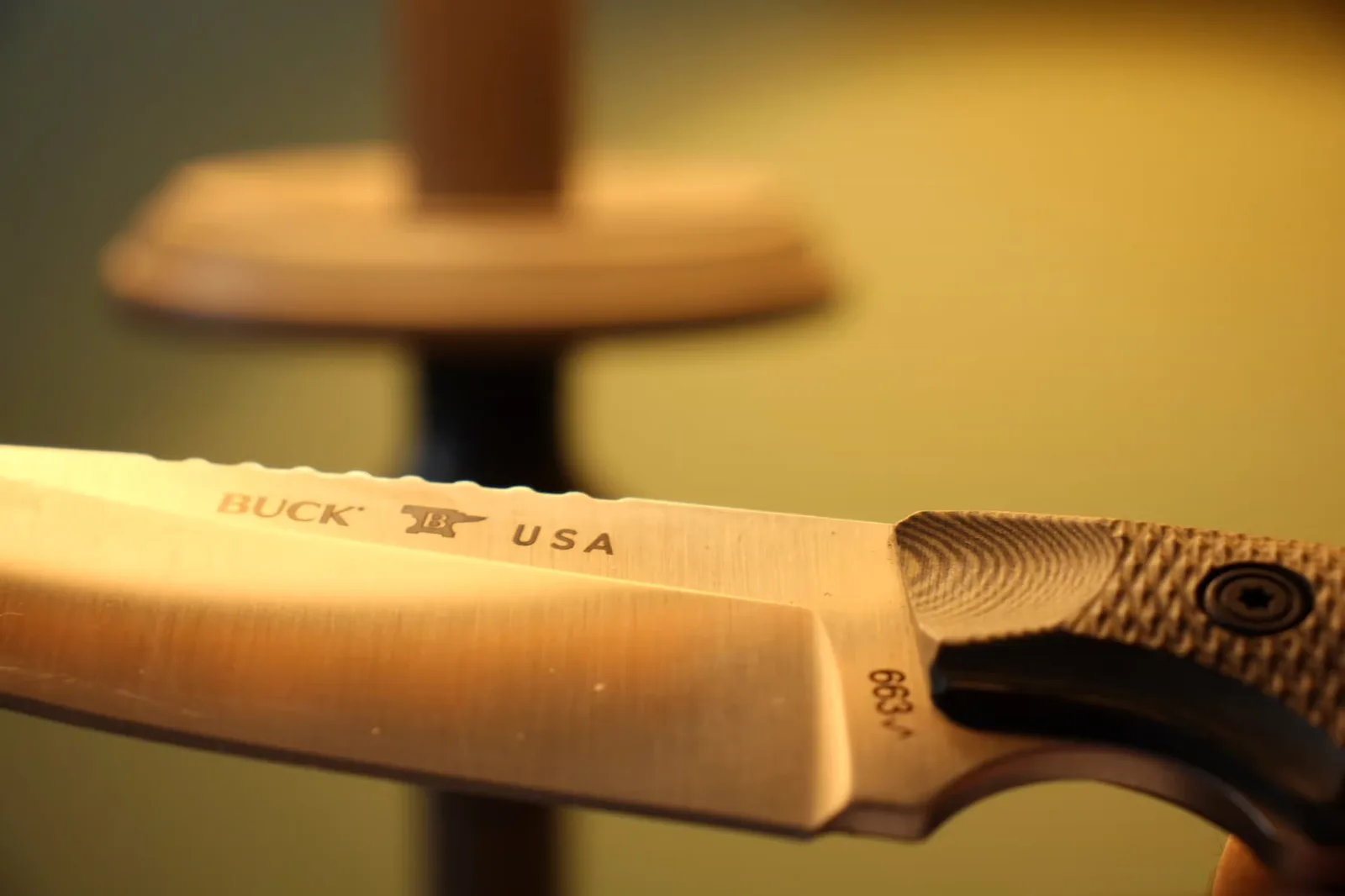 Buck 663 Alpha Guide Review — The S35VN Survival Knife That Earns the Hype