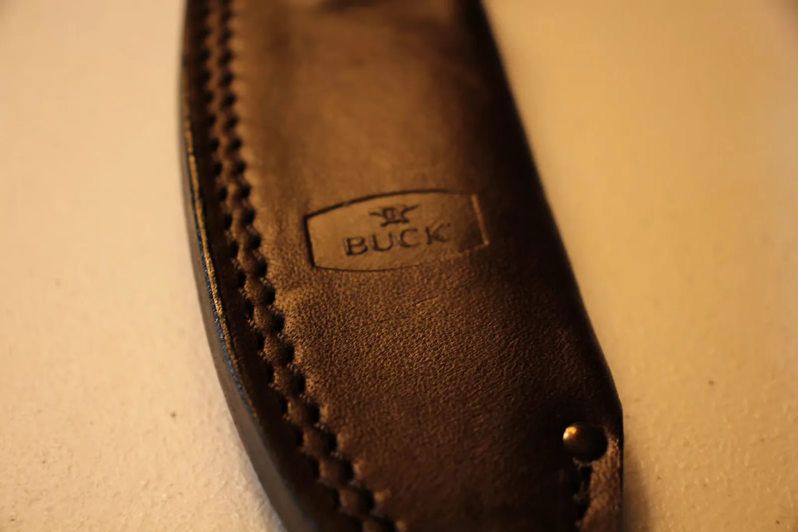 Top of sheath with BUCK shield logo embossed