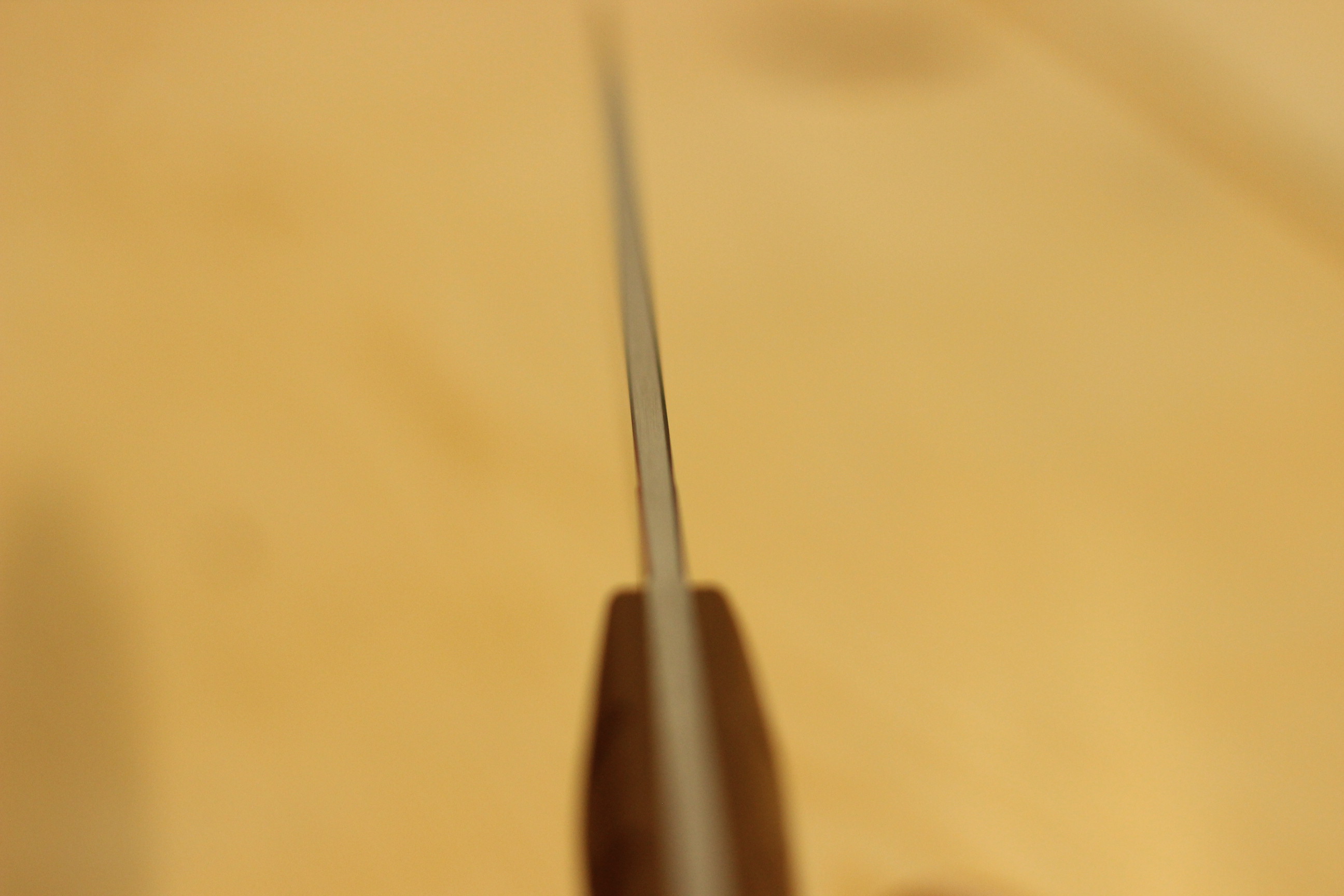 The MDRN Hunter blade pointed straight down at the camera showing the 3 mm spine thickness and the bevel transition
