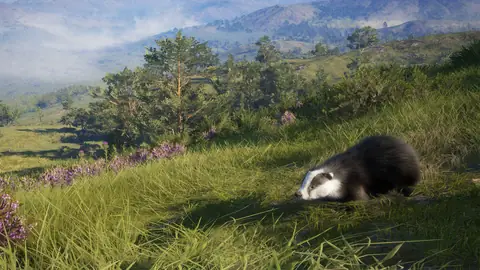 Capybara — Call of the Wild Guide: Behaviour, Best Weapons, Strategy ...