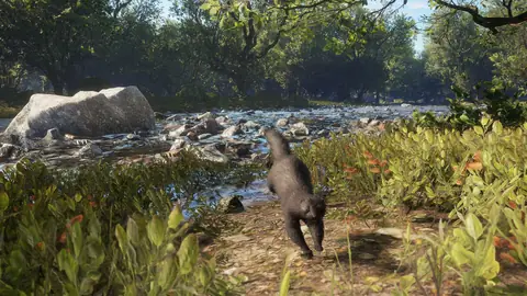 Capybara — Call of the Wild Guide: Behaviour, Best Weapons, Strategy ...