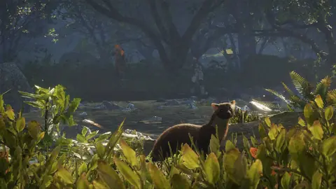 Capybara — Call of the Wild Guide: Behaviour, Best Weapons, Strategy ...