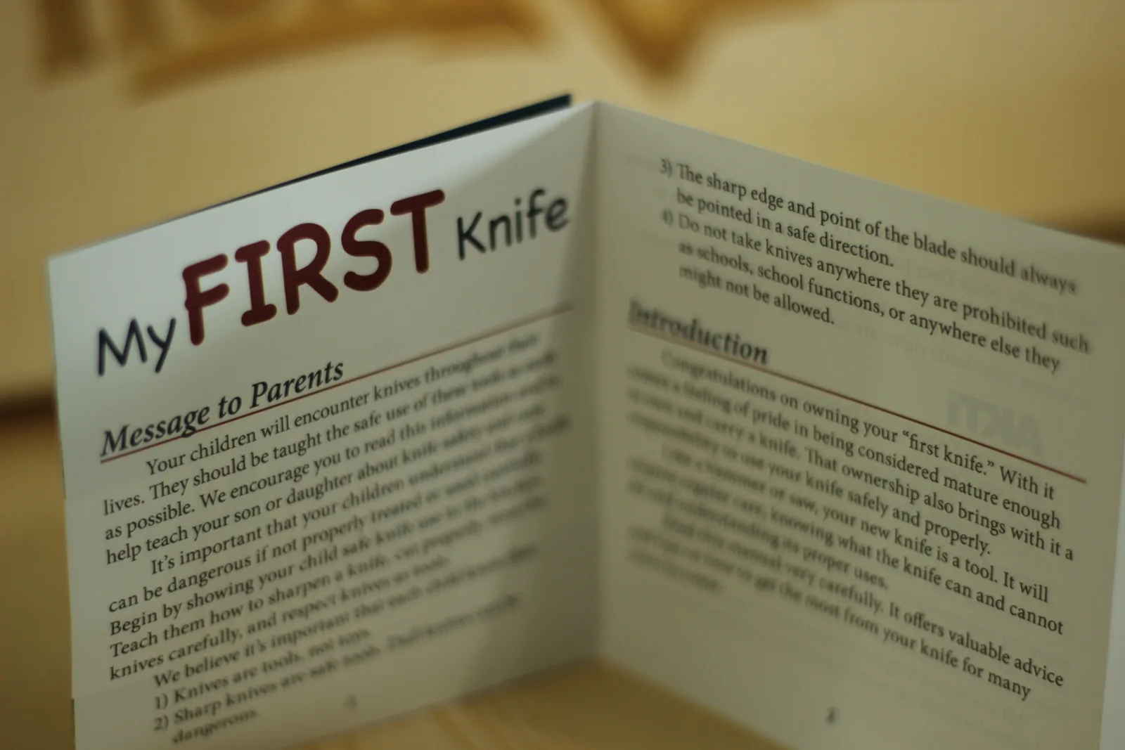 The My FIRST Knife booklet standing open on a bench, showing a Message to Parents on the left page and an Introduction plus numbered safety rules on the right