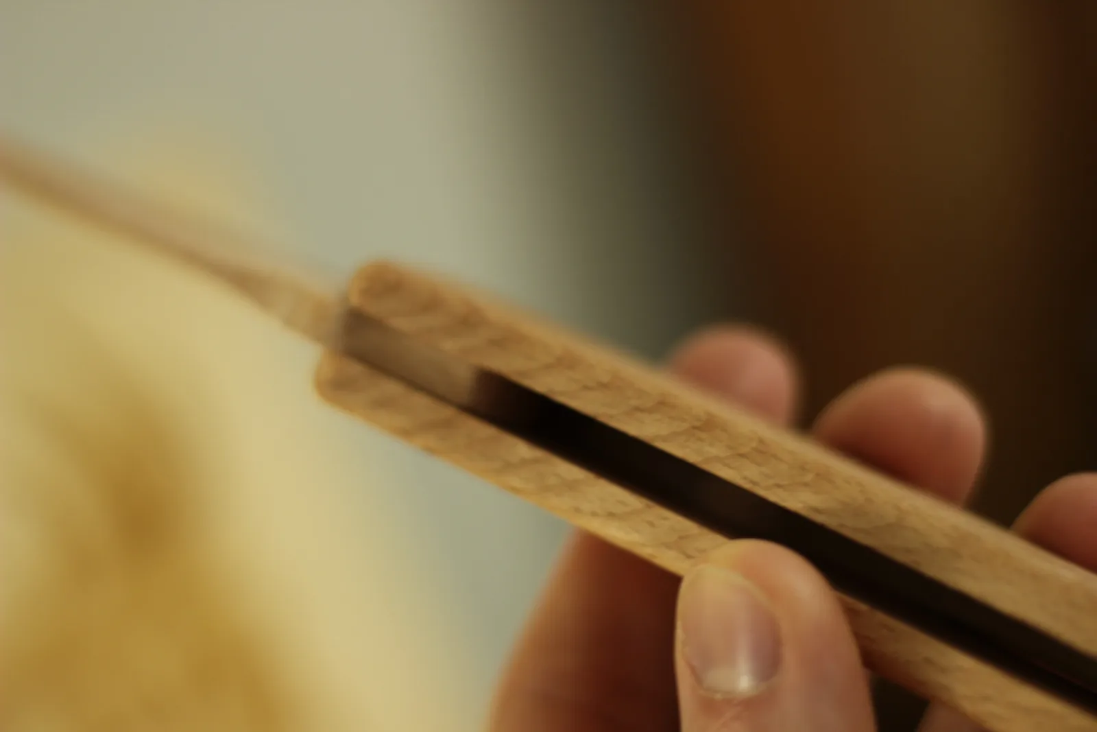 Looking down the spine of the closed wooden knife into the dark channel between the two scales