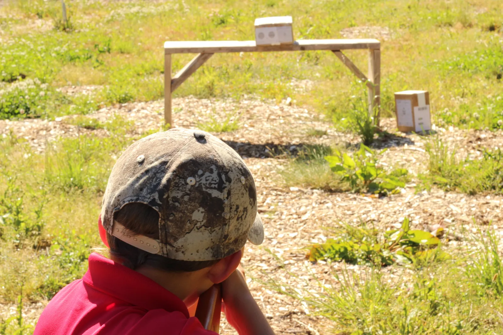 Eye lined up down the iron sights of the Buck 105