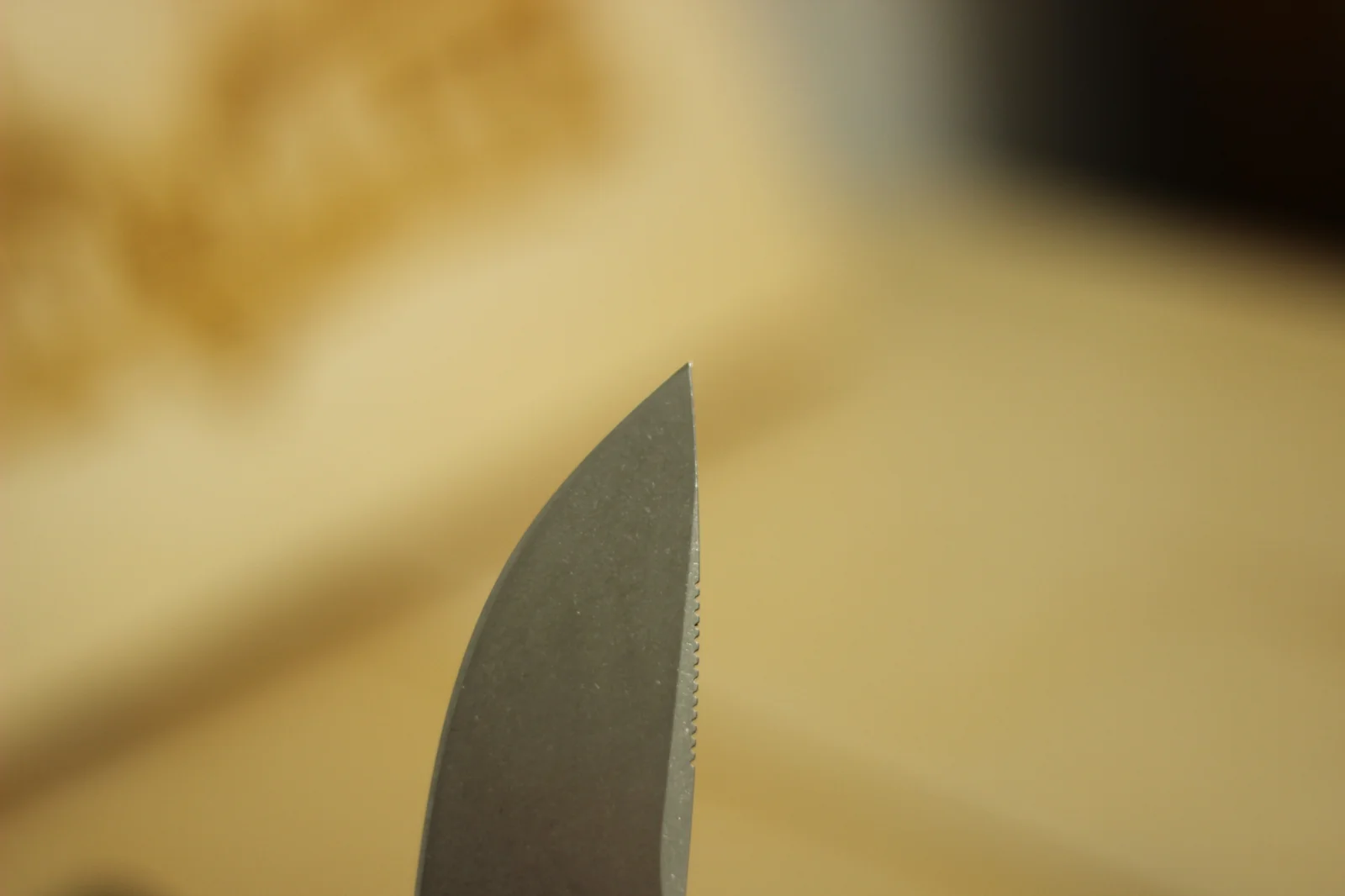 Close-up of the 1883 blade tip showing the precise drop-point geometry where the spine descends to meet the cutting edge