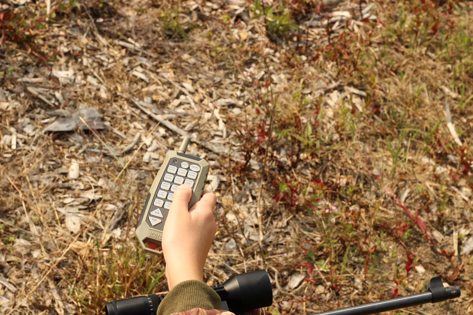 A young hunter's hand and camo sleeve working the keypad of an electronic predator caller remote over dry ground