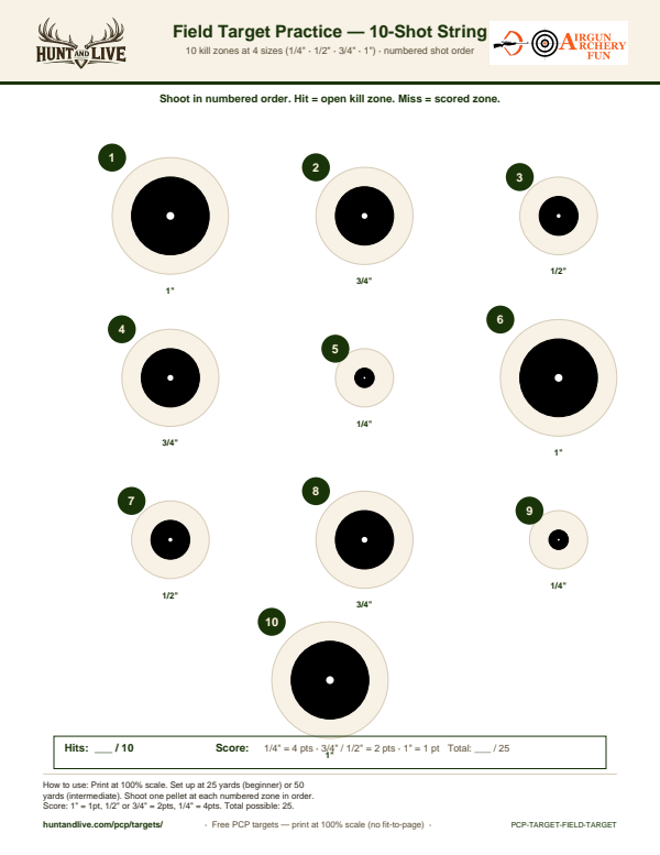 Field Target Practice — 10-Shot Scored String