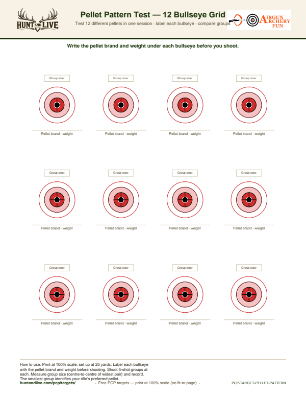Pellet Pattern Test — 12 Bullseye Grid