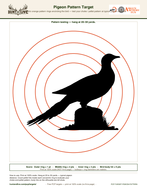 Pigeon Pattern Target