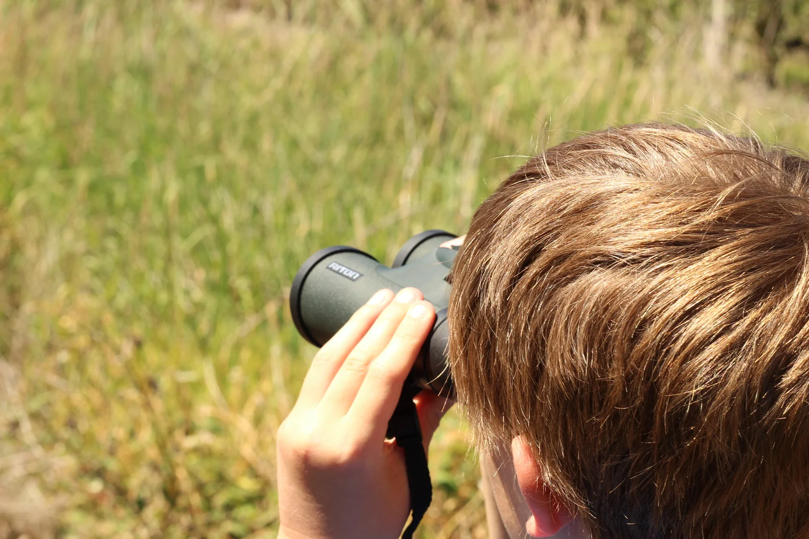 The Hunt and Live eleven-year-old field tester photographed from behind glassing through the Riton 5 Primal 10x42 ED, blonde hair visible, hand wrapped around the right barrel, the strap of the carry harness visible across his shoulder, tall green grass behind