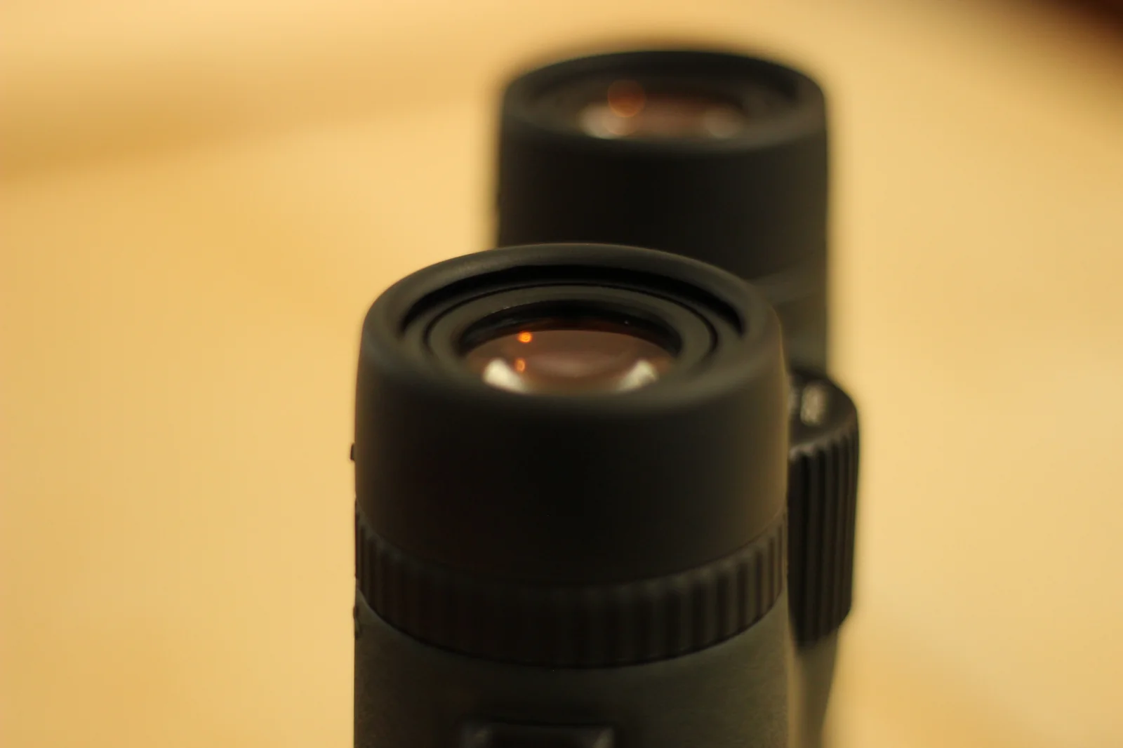 Macro detail of the RITON white wordmark on the right barrel of the 5 Primal 10x42 ED binocular, showing the recessed badge with pebbled rubber armor texture surrounding it, against an out-of-focus blurred warm yellow background