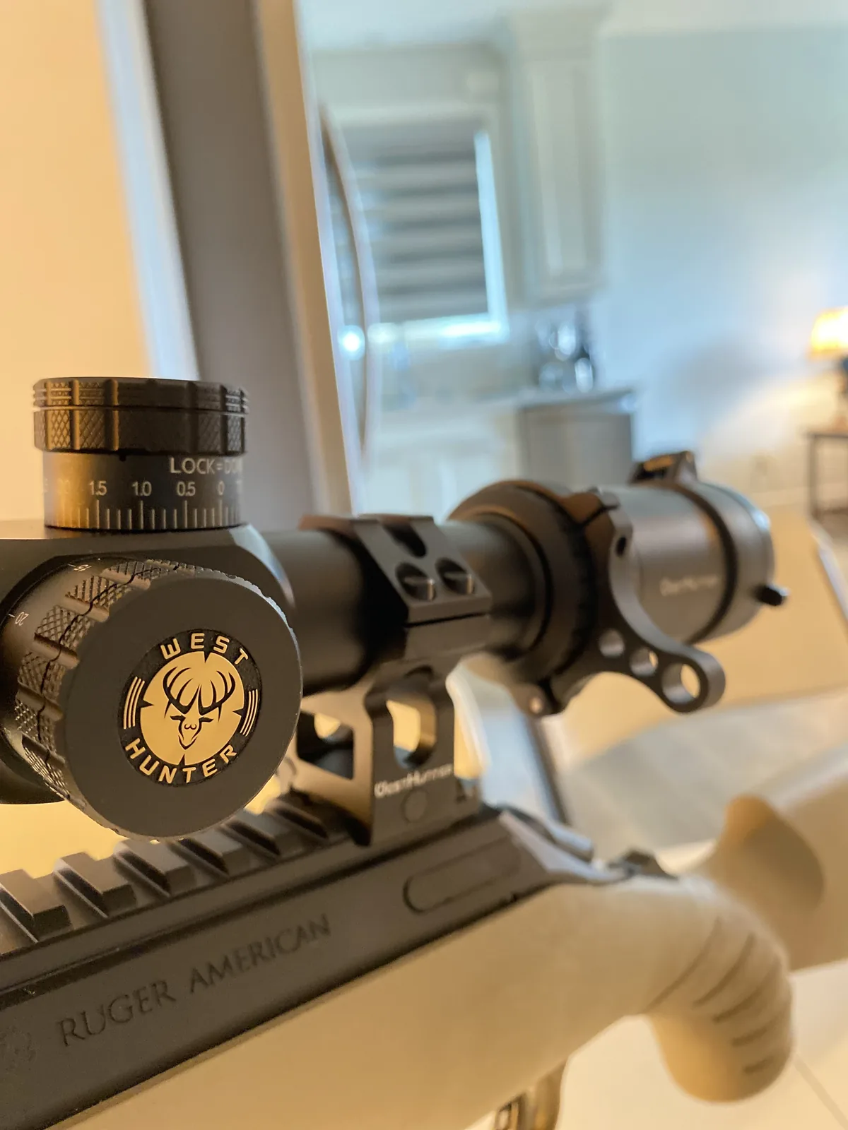 Federal 50-grain Varmint & Predator .223 box with a single cartridge standing beside it