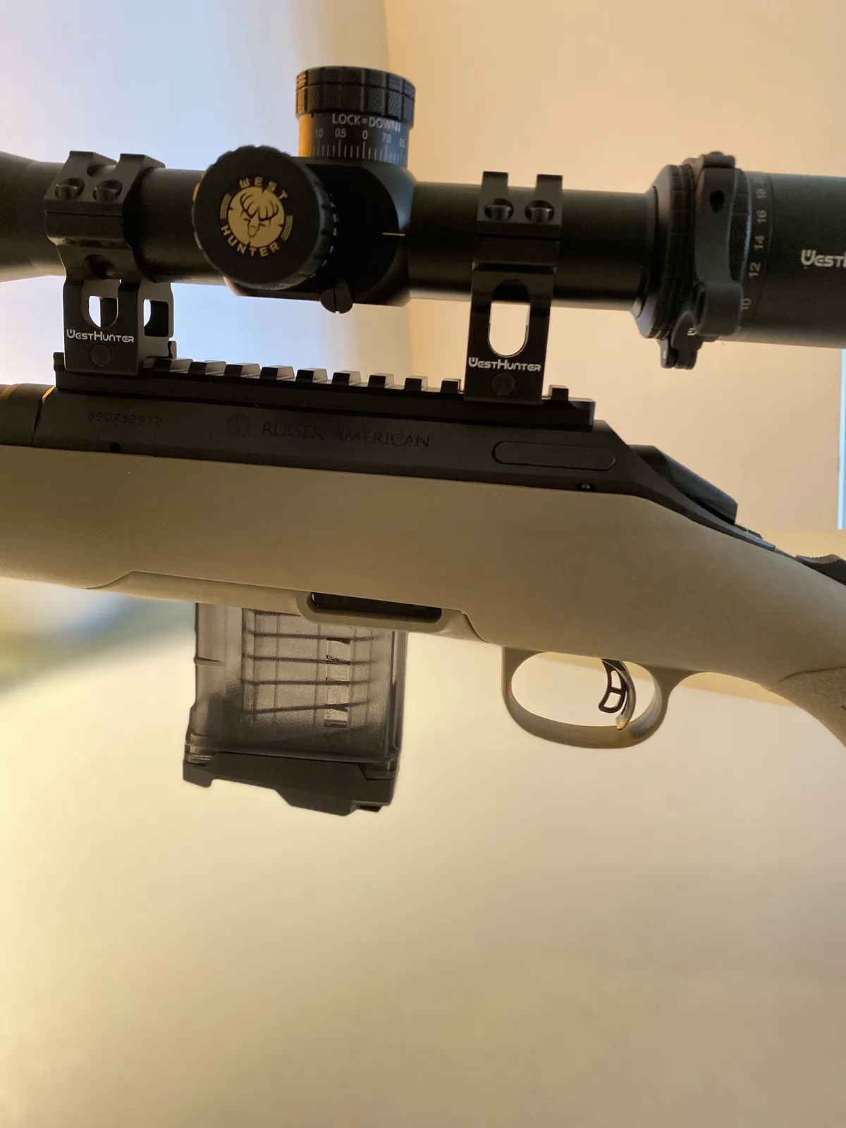 Ruger American Ranch indoors with a tinted polymer AI-pattern magazine inserted