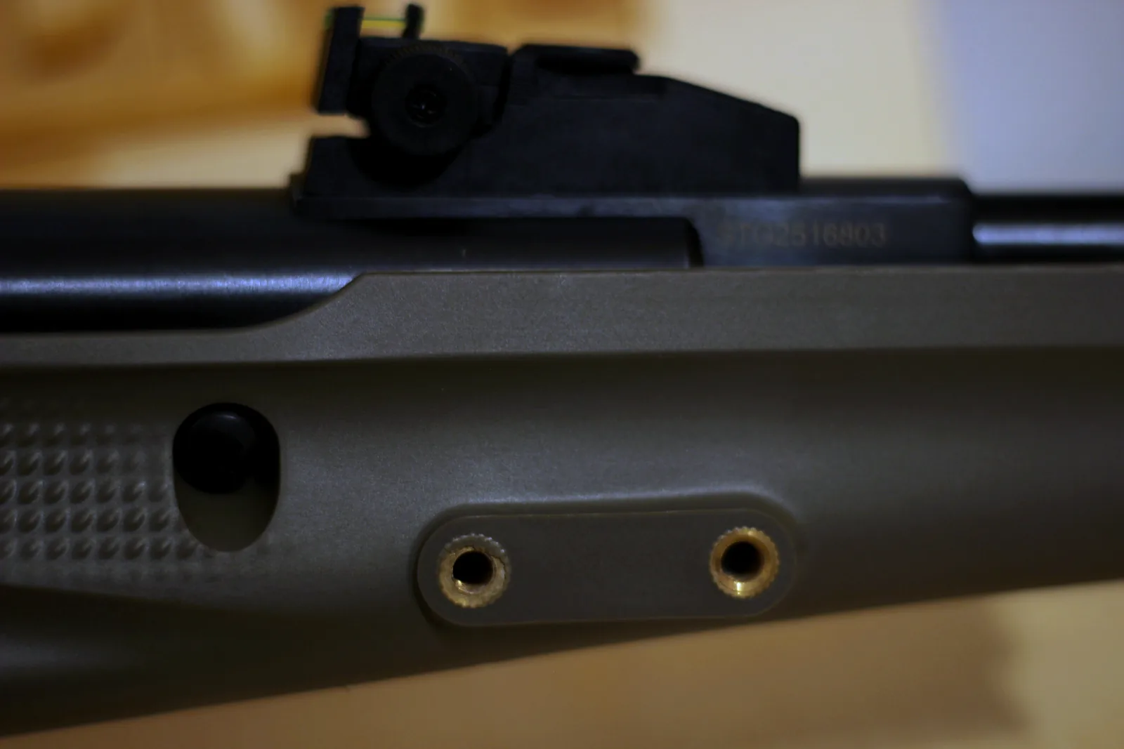 The open sights on the barrel with the scope rail on the receiver behind