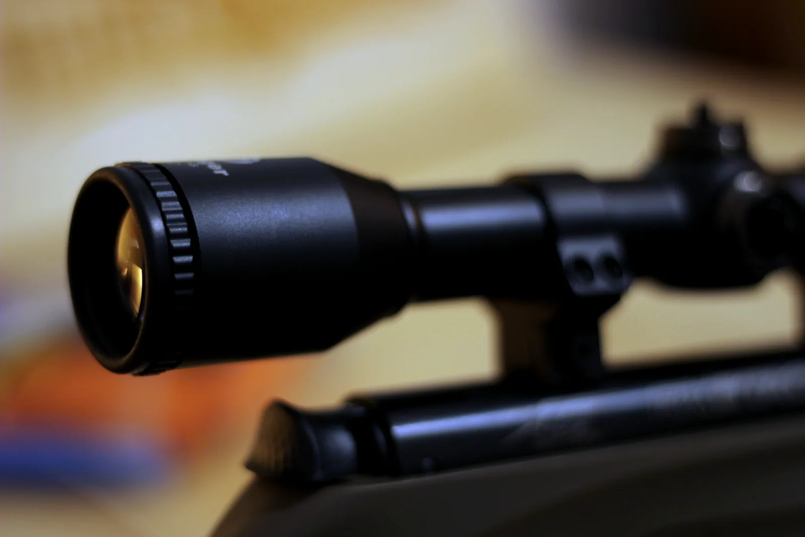 The scope mounted in its rings on the receiver rail of the rifle