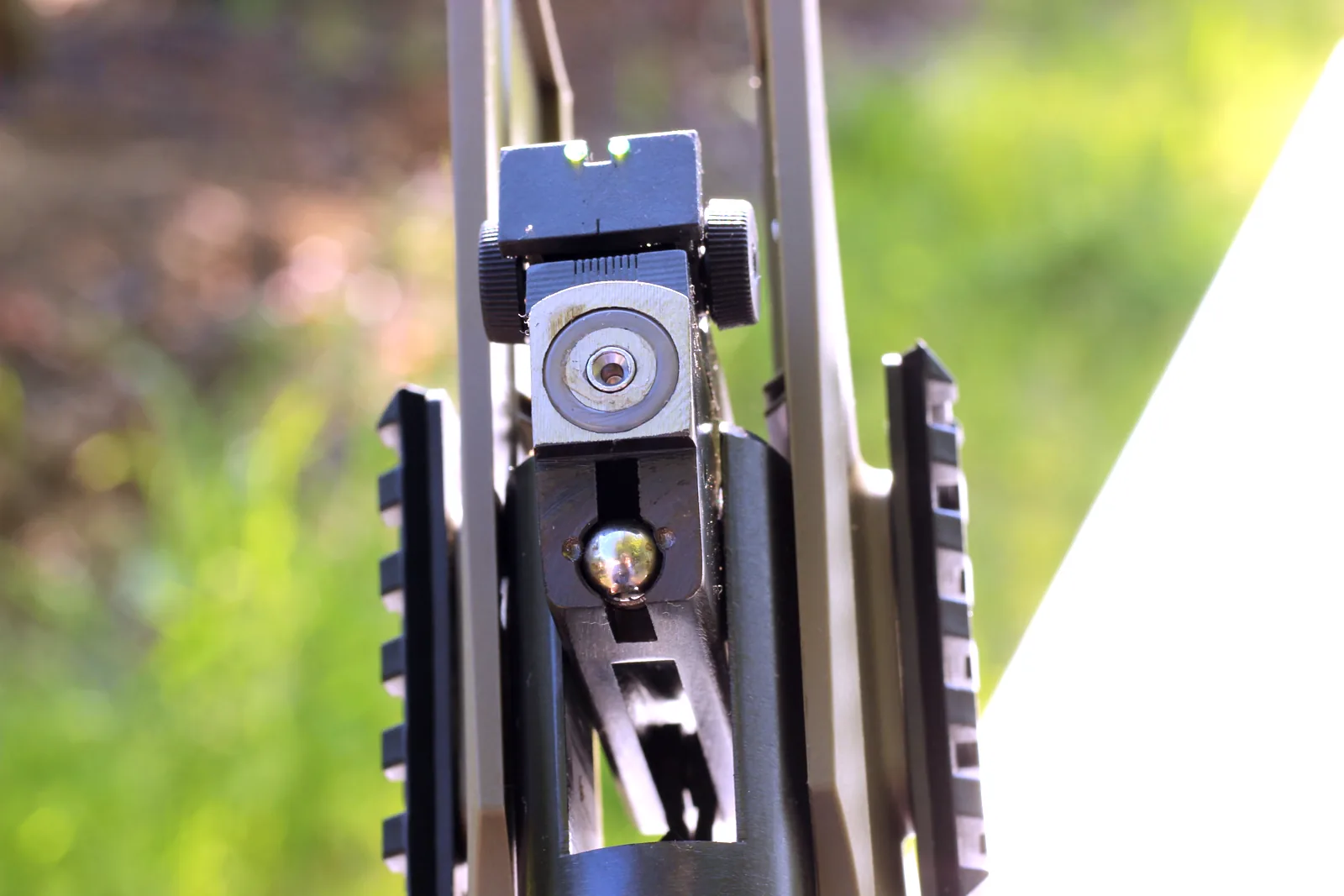 Close detail of the rear sight assembly and the receiver rail