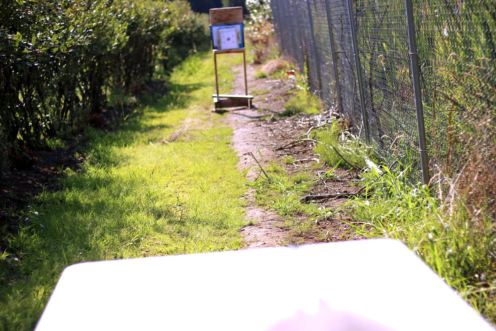 A grass lane between a hedge and a fence with a target frame set up at the far end