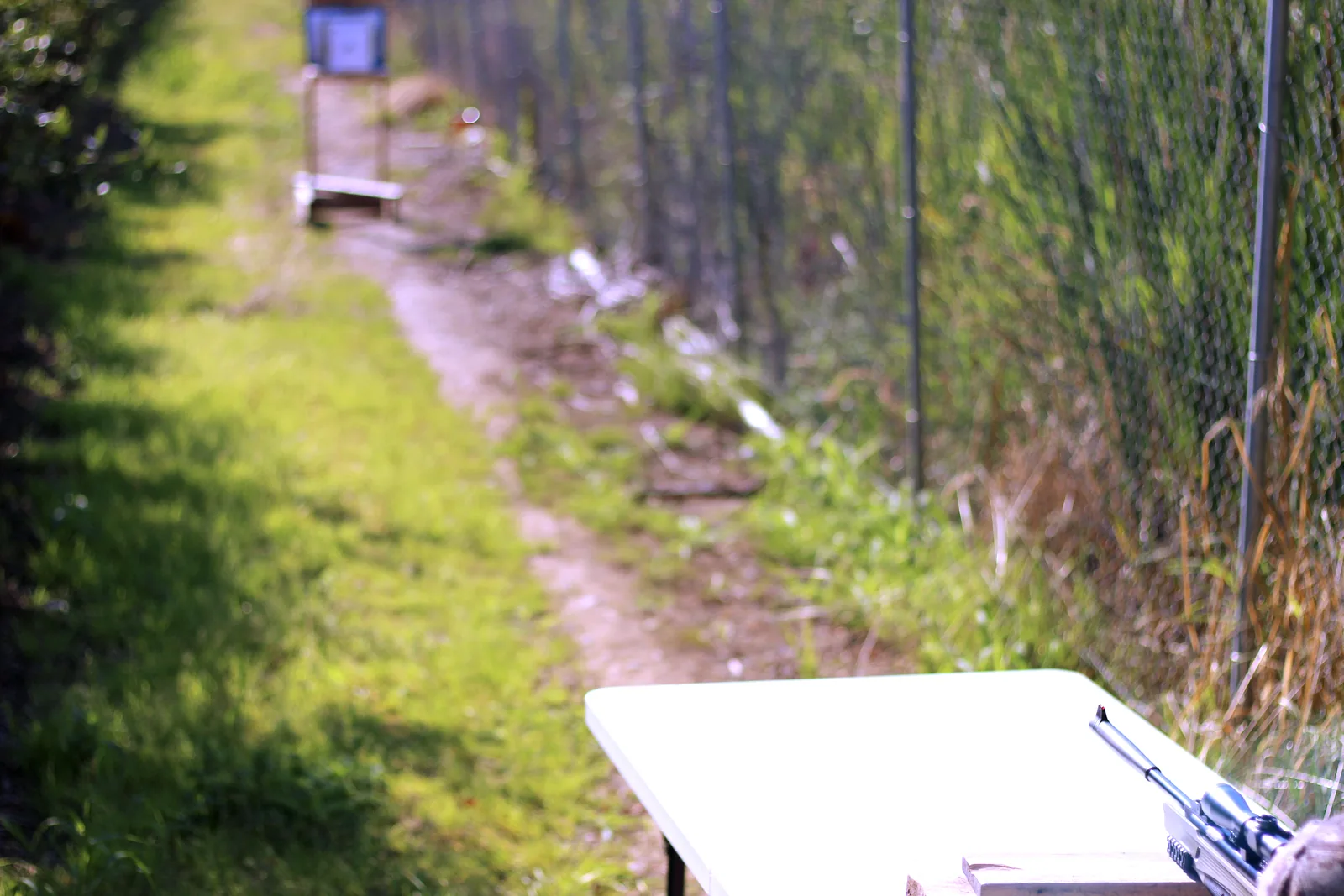 The view down the grass lane toward the distant target