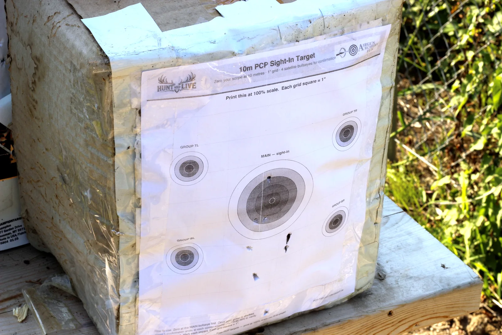A printed paper target pinned to a block backstop at the end of the lane