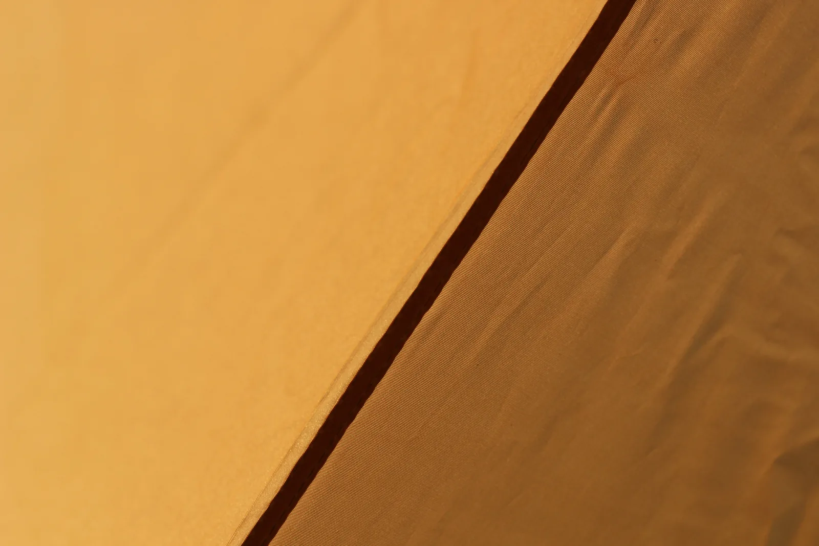 Two canopy panels meeting at a seam photographed from inside the tent, sunlight glowing through the fabric