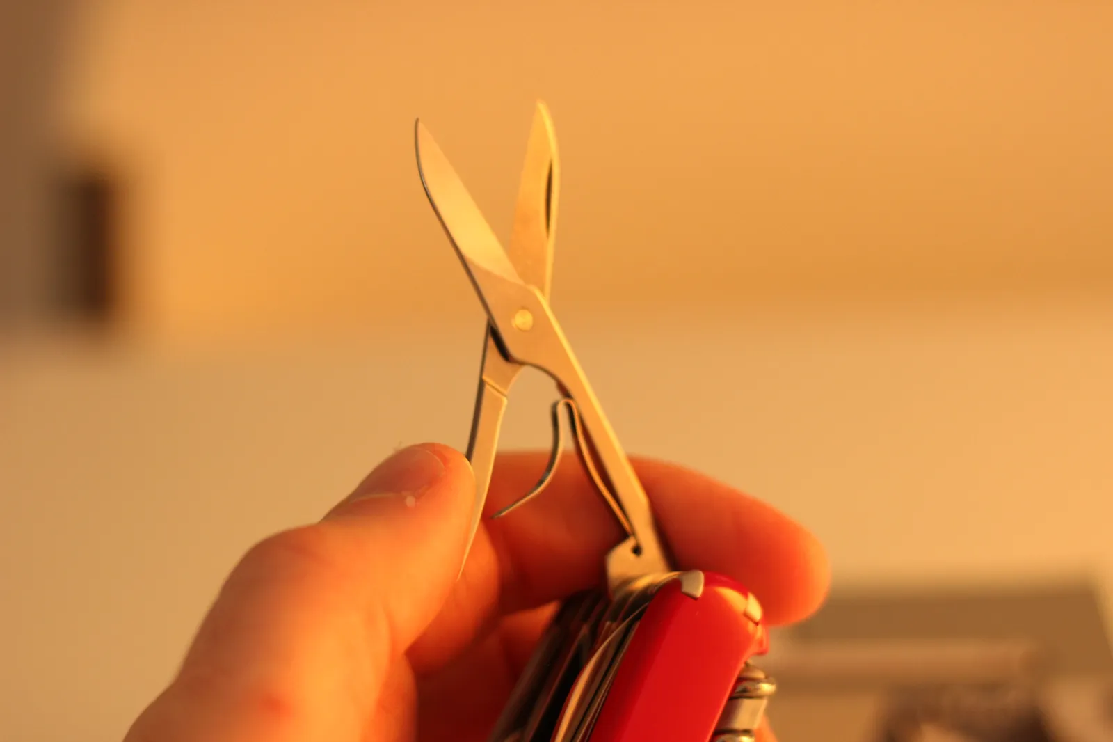 Close-up of the SwissChamp pliers showing the wire-cutter section between the handles