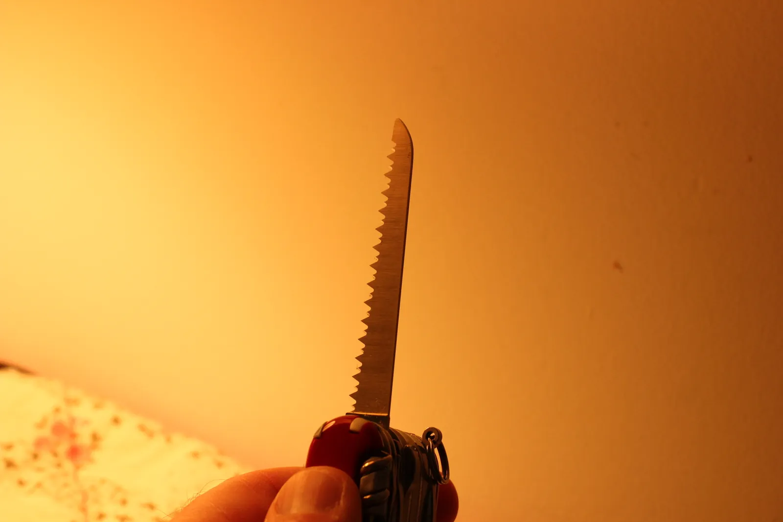 The SwissChamp metal saw / metal file extended showing the fine teeth on top and the ruler markings along the back