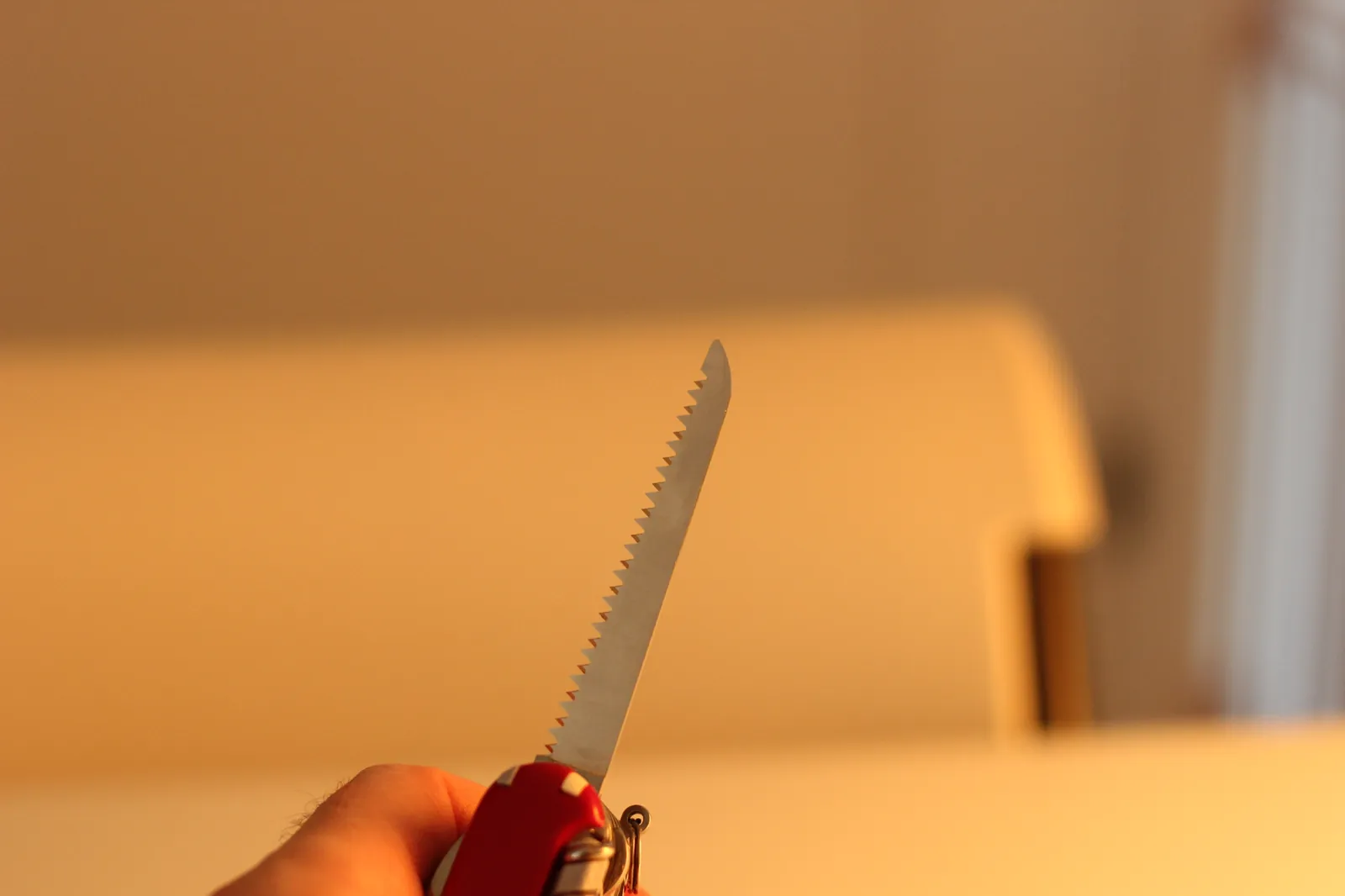 The Victorinox SwissChamp wood saw extended showing the staggered triangular teeth pattern