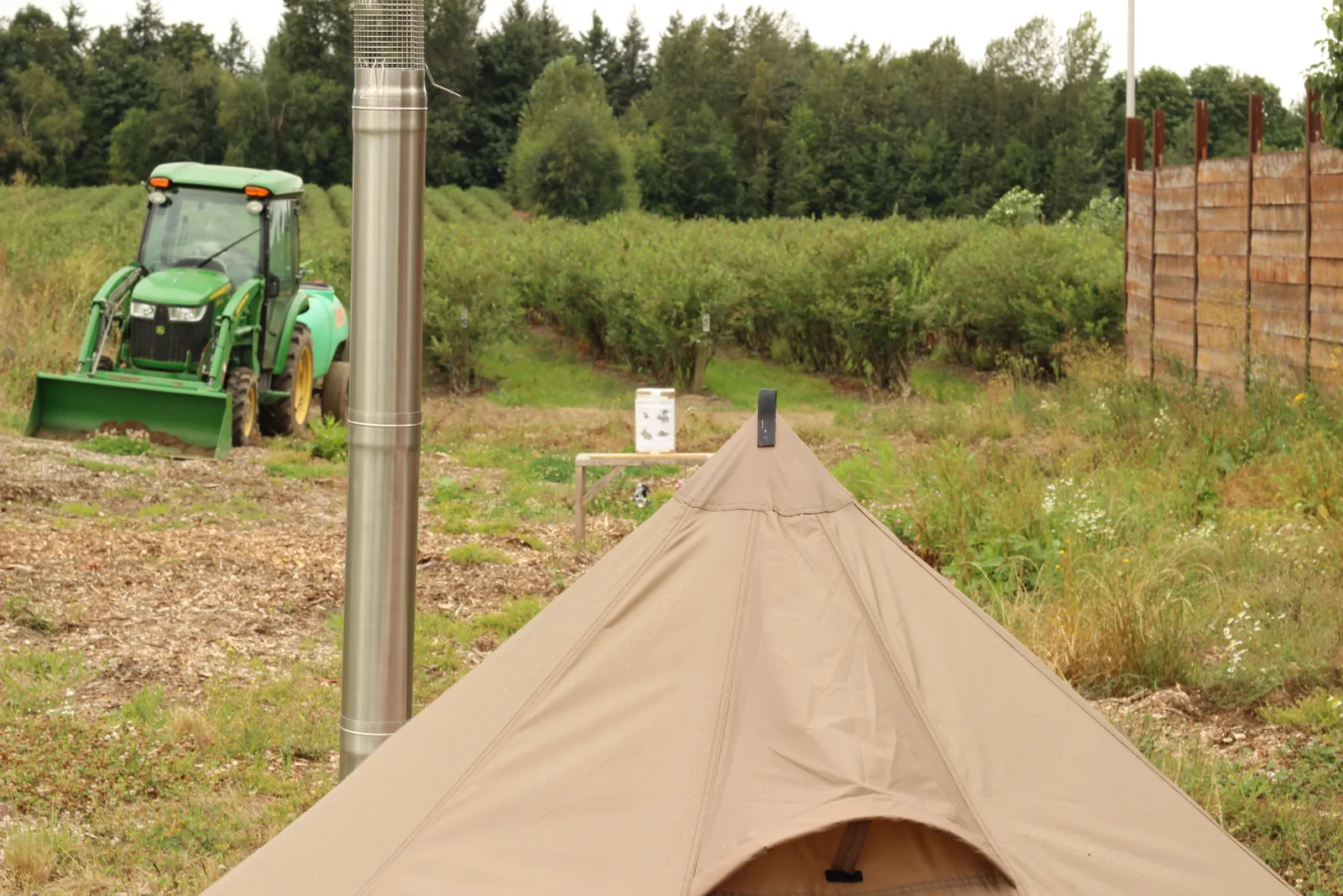 The chimney and its mesh spark arrestor standing well clear above the tent peak, blueberry field and a tractor beyond