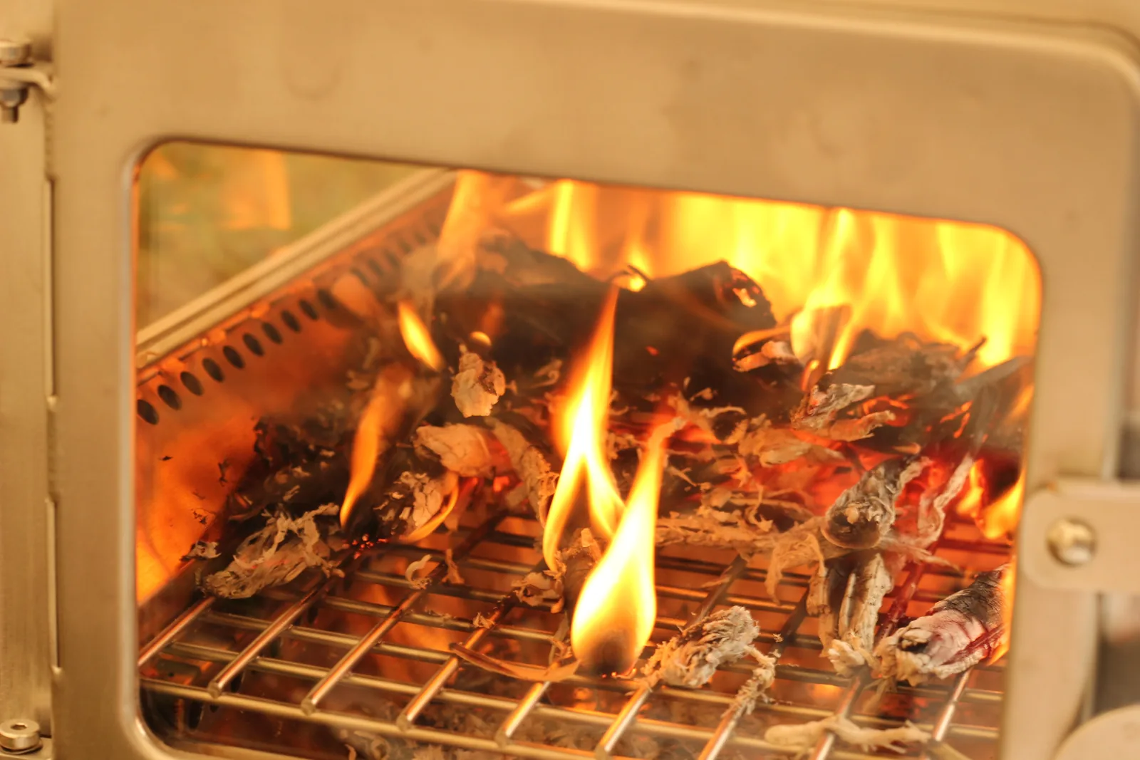 A bed of embers and flame on the grate seen through the open door