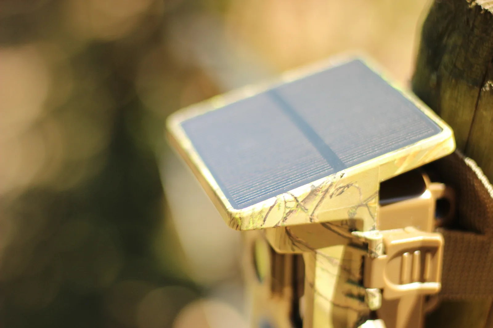 XTU SV-TCQSW mounted on a tree